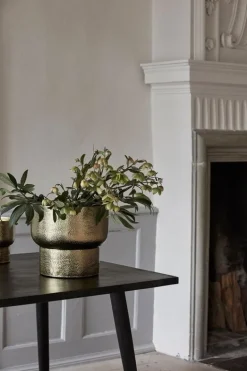 Alimia bloempot L goud - 24158