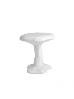 Amanita kruk wit - 18624