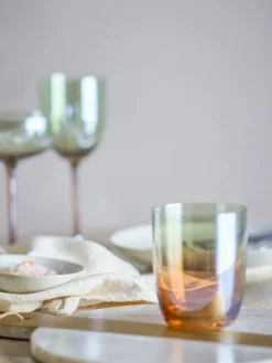 Aston glazen brons set van 4 stuks - 82072594