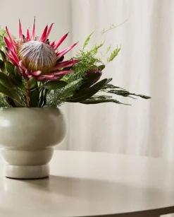 Aves bloempot - 8825