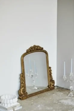 Bird spiegel Small - goud