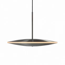 Dish17h hanglamp staal - GP-293