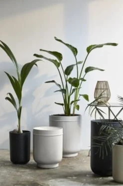 Eday bloempotten - 29009