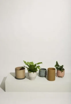 Edna bloempotten bruin set van 2 stuks - 761504
