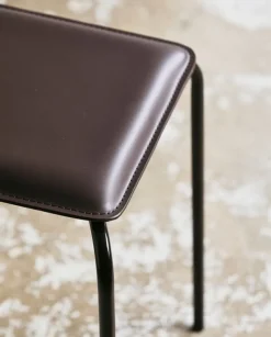 Esa kruk bruin - 9509