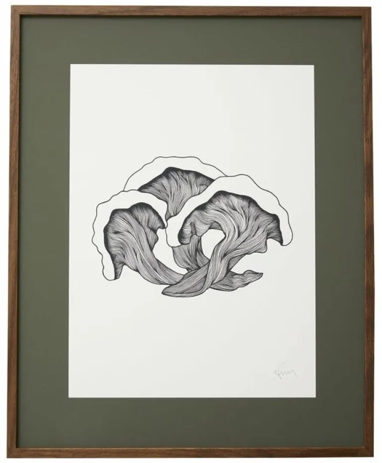 Fungi illustration - donker eiken