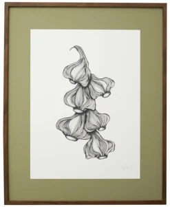 Garlic illustration - donker eiken