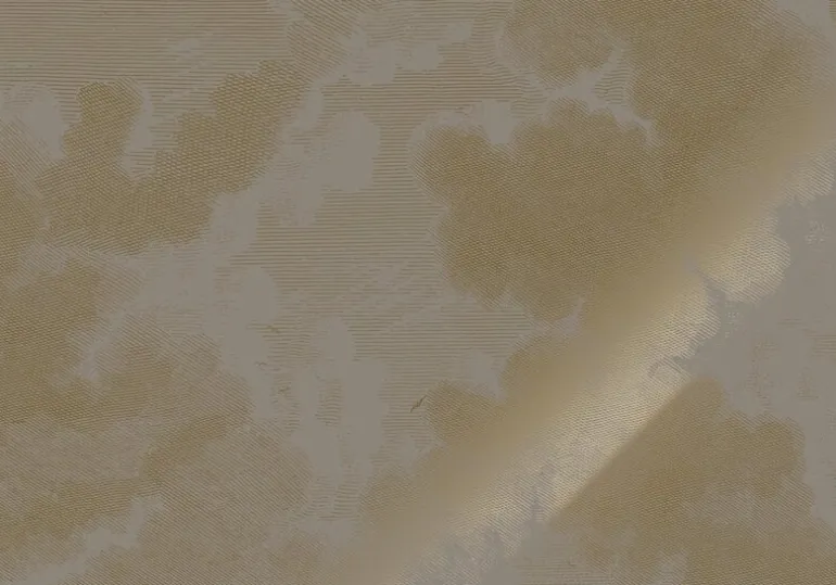 Goud Engraved clouds grijs behang MW-185 - 200x280cm