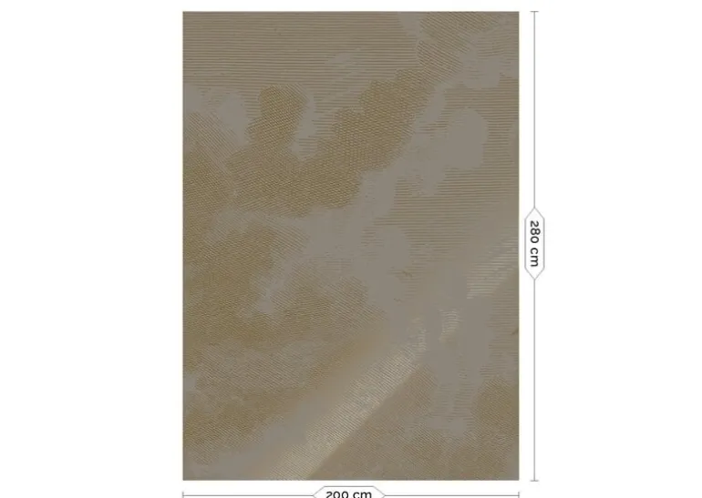 Goud Engraved clouds grijs behang MW-185 - 200x280cm