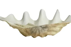 Kichi decoratie schelp