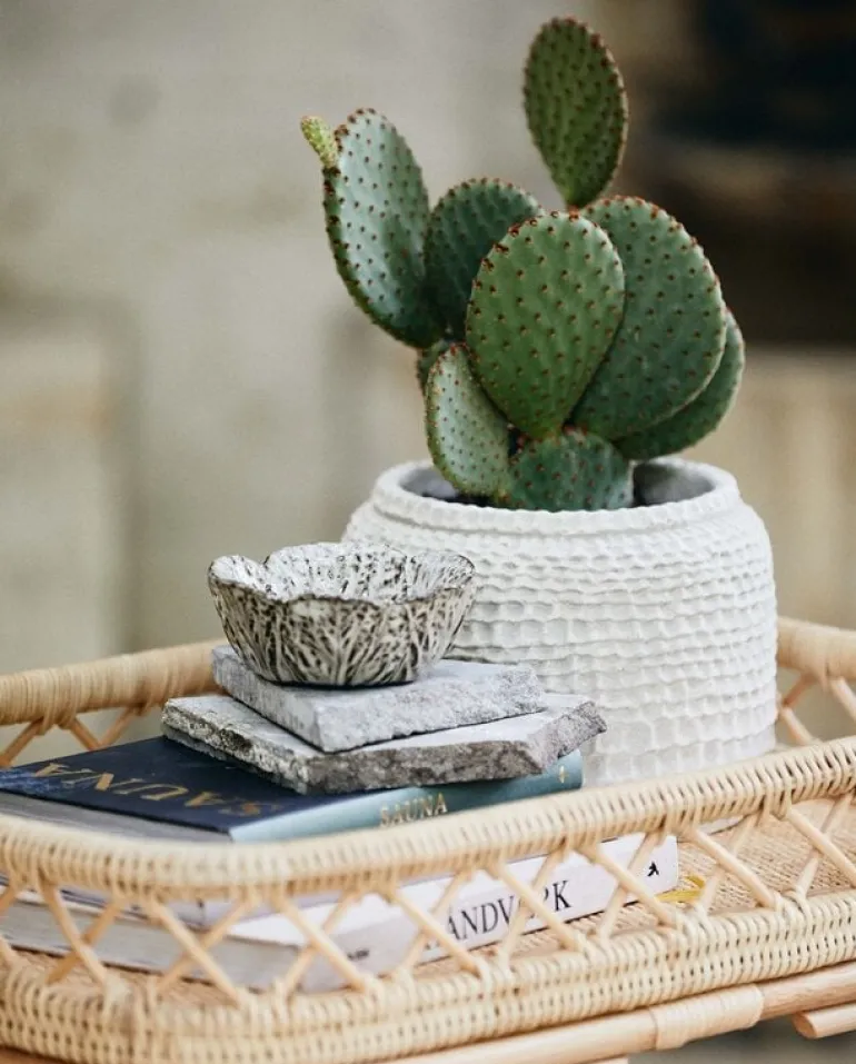 Leafa schaal S set van 4 stuks - 68093