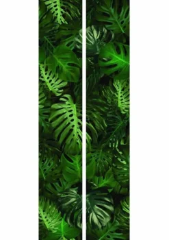 Tropisch vliesbehang Monstera