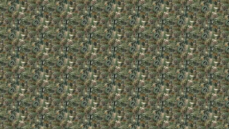 Underwater jungle fotobehang WP-691 - 292,2 x 280 cm